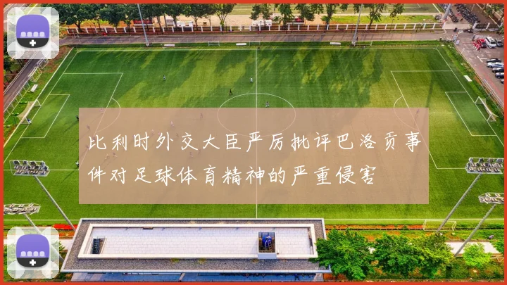 比利时外交大臣严厉批评巴洛贡事件对足球体育精神的严重侵害