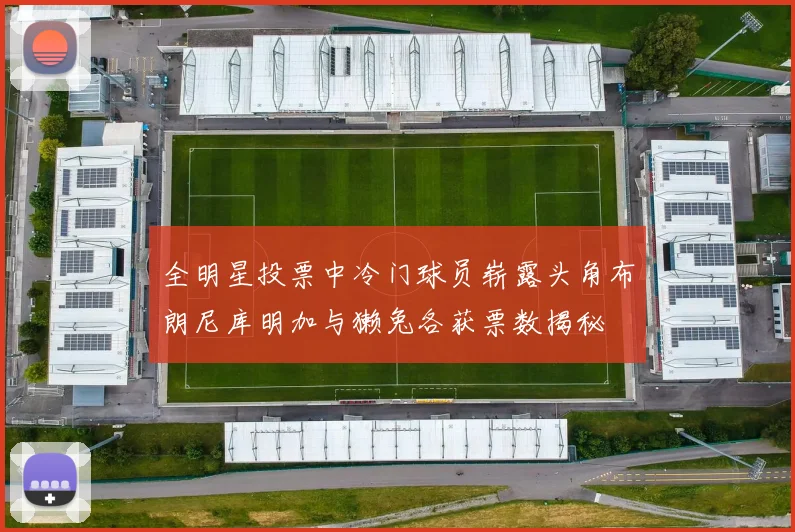 全明星投票中冷门球员崭露头角布朗尼库明加与獭兔各获票数揭秘